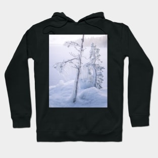 Frozen trees and fog Hoodie